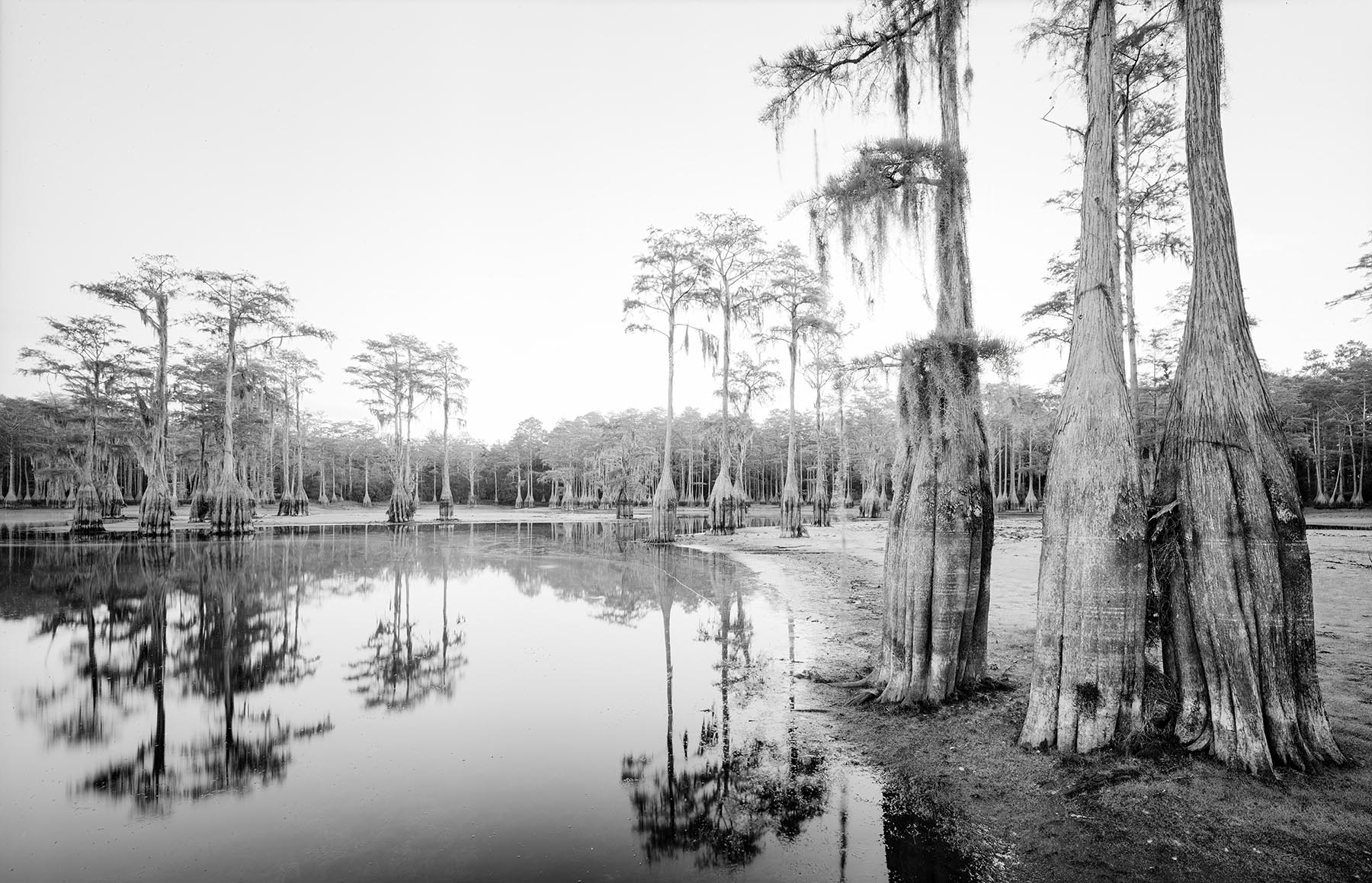 Tallahassee Sink 