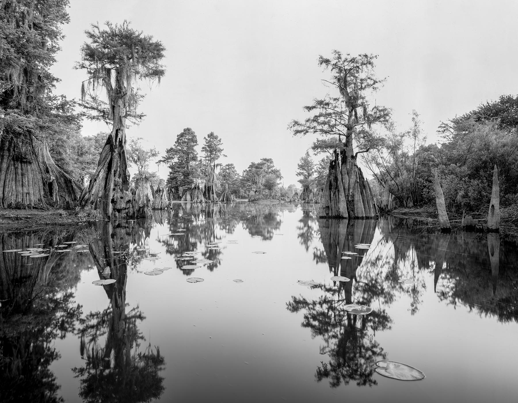 Dead Lakes #11 | John Brady Photography